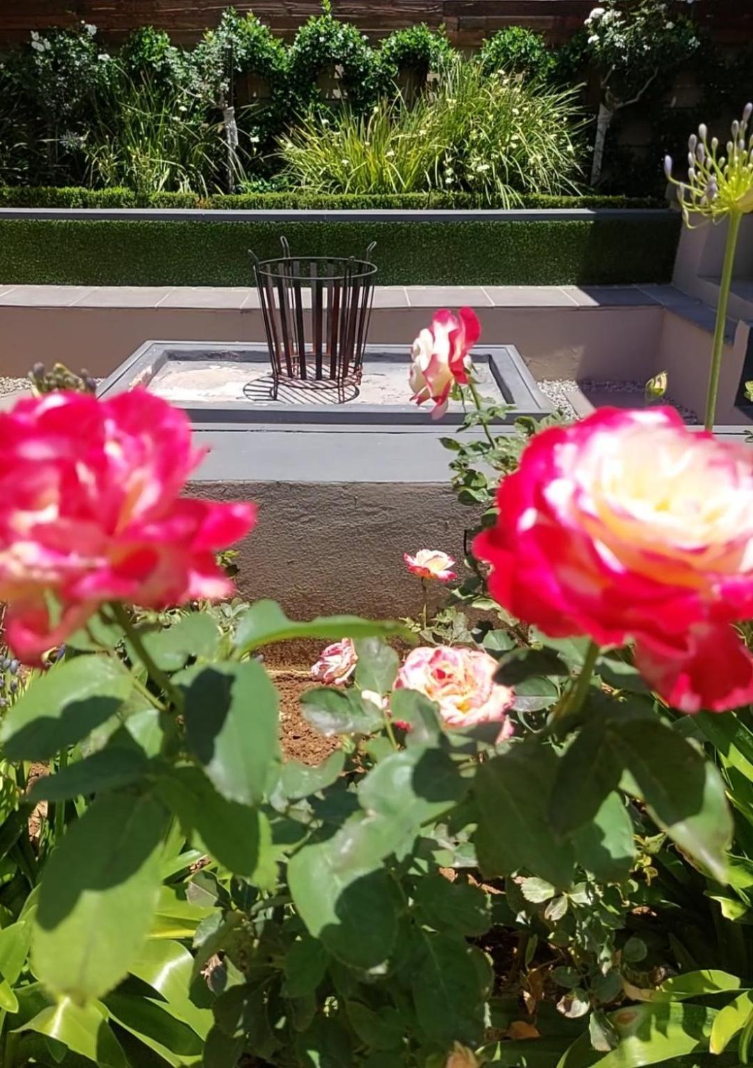 לינה וארוחת בוקר פוצ'פסטרום Bella Rosa מראה חיצוני תמונה